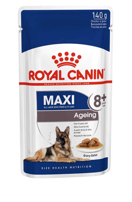 ROYAL CANIN Maxi Ageing 8+ Dog Wet Food (Over 8 years)