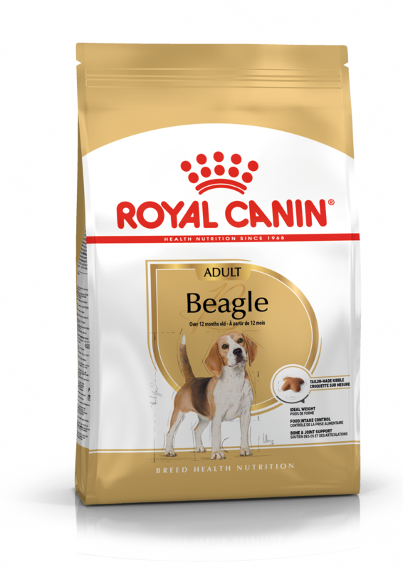 ROYAL CANIN Beagle Adult Dog Food (from 12 months to mature)