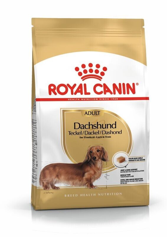 ROYAL CANIN Dachshund Adult Dog Food (10 months to mature)
