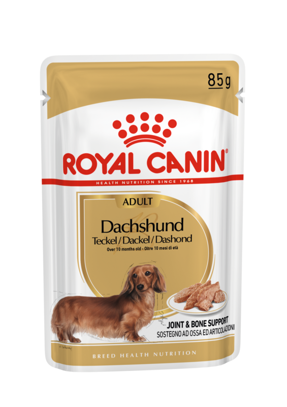 ROYAL CANIN Dachshund Adult Dog Wet Food (10 months to mature)