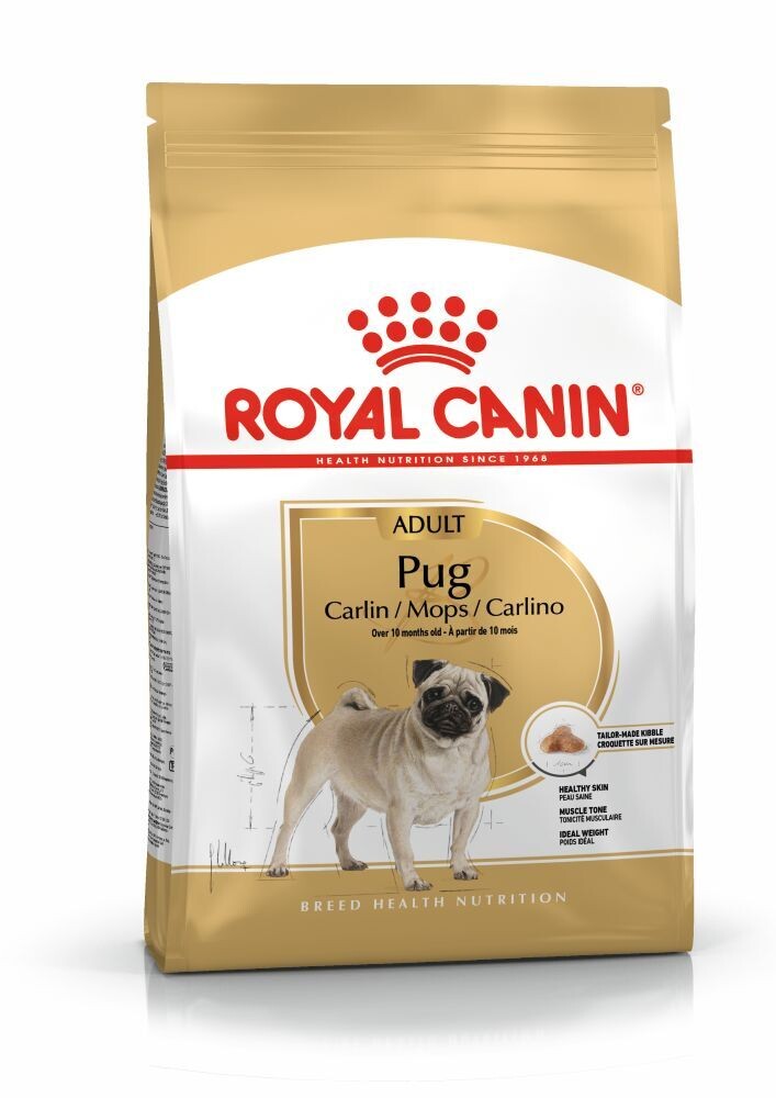 ROYAL CANIN Pug Adult Dog Food (10 months to mature)