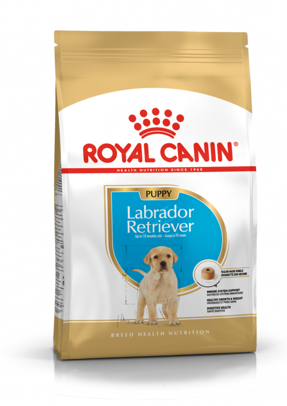 ROYAL CANIN Labrador Retriever Puppy Food (2 - 15 months)