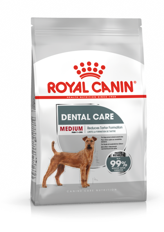 ROYAL CANIN Medium Dental Care Dog Food (11 to 25kg)