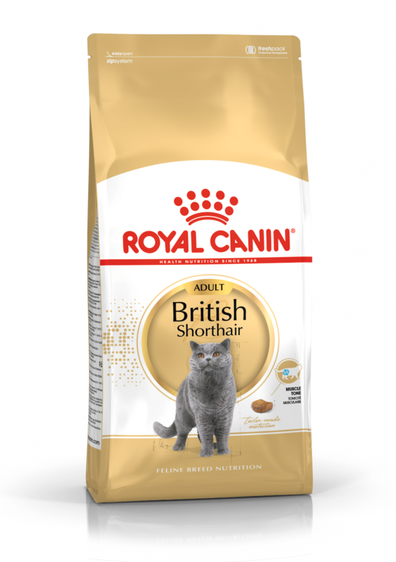 ROYAL CANIN British Shorthair Adult Cat Food (over 12 months)