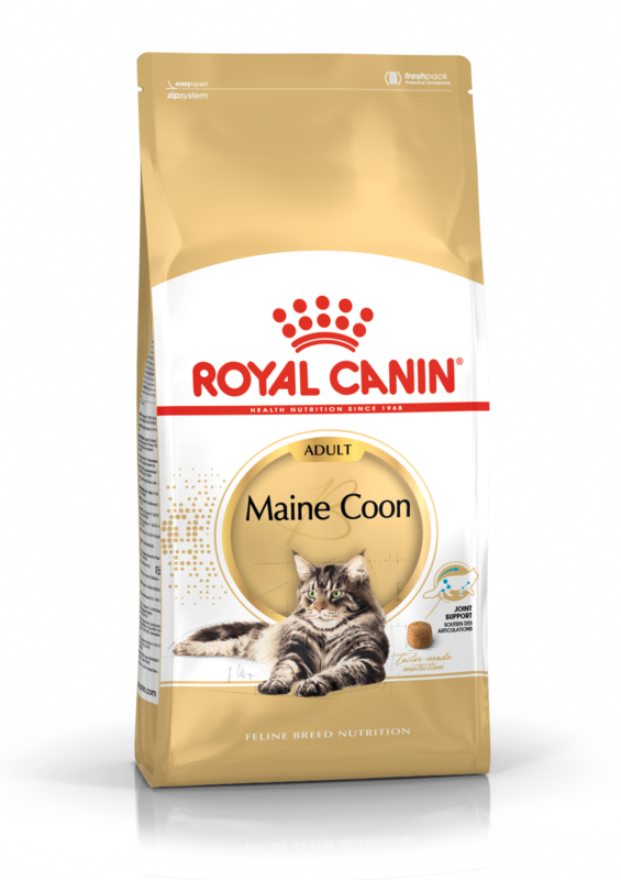 ROYAL CANIN Maine Coon Adult Cat Food (over 15 months)