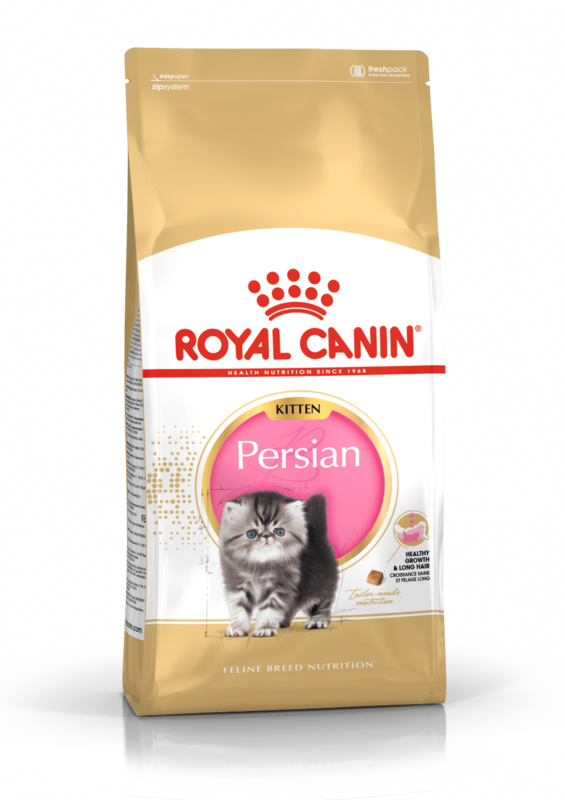 ROYAL CANIN Persian Kitten Food (4 to 12 months)