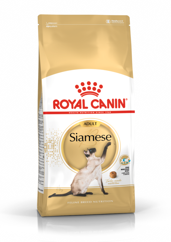 ROYAL CANIN Siamese Adult Cat Food (from 12 months)