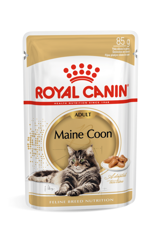 ROYAL CANIN Maine Coon Cat Wet Food (from 15 months)
