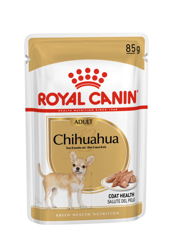 ROYAL CANIN Chihuahua Adult Dog Wet Food (from 8 months to mature)