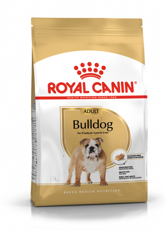 ROYAL CANIN English Bulldog Adult Dog Food (12 months to mature)