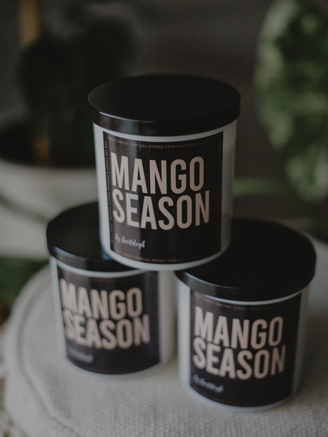 Mango Season