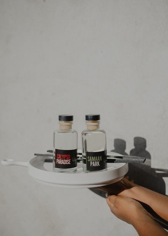 4oz Calypso Paradise Reed Diffuser