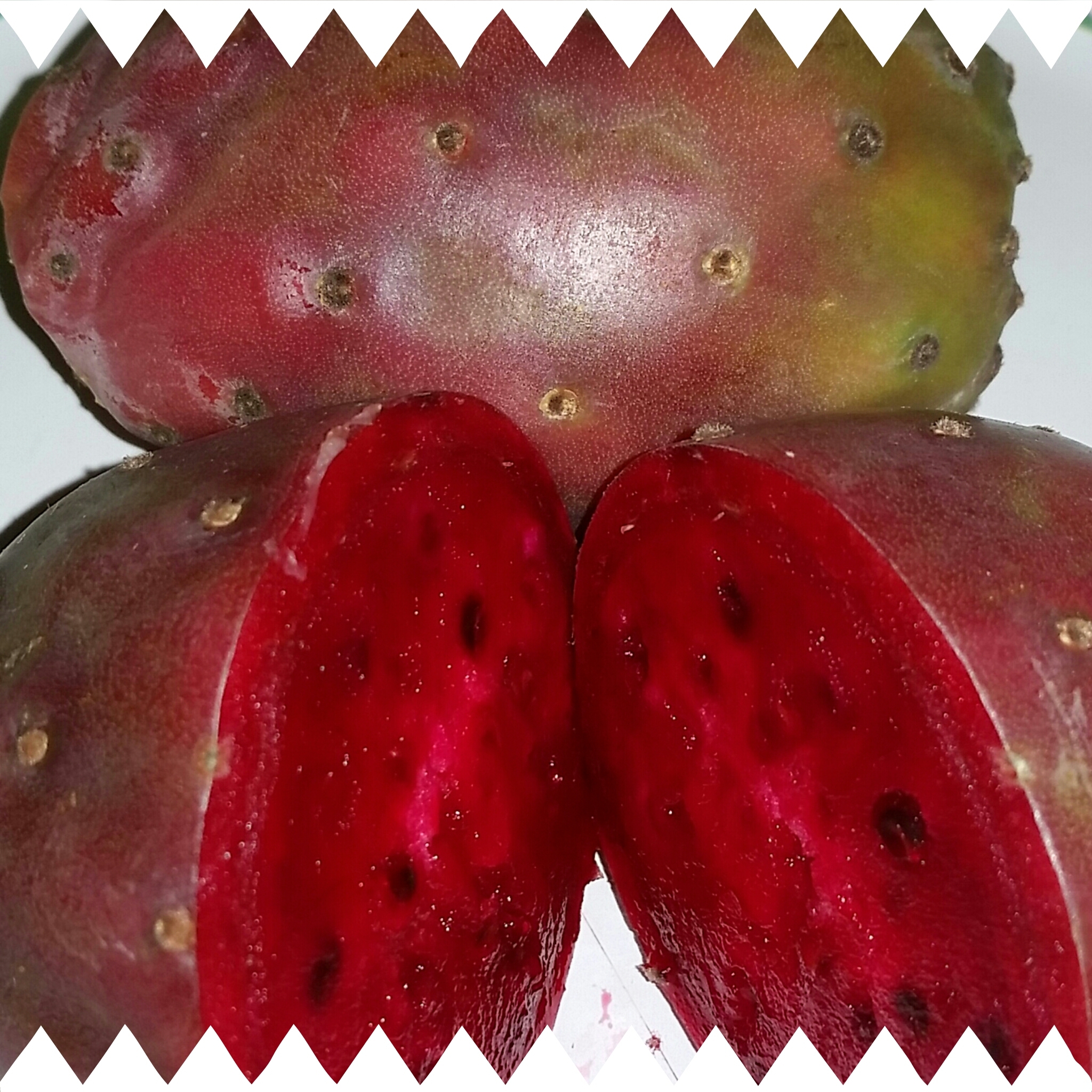Red &quot;Tuna&quot; Cactus Fruit