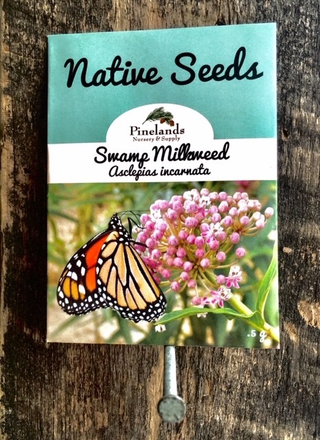 Seed Packets, Select Species: Swamp Milkweed