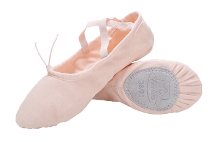 Stretch Canvas Split Sole Ballet Slippers, Size: EU 35 (Ladies 5), Colour: Pink