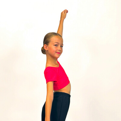 Short Sleeve Fitted Crop Tops