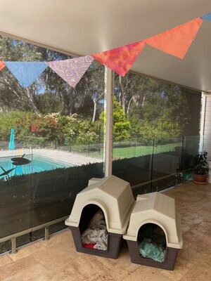 Pooch Party