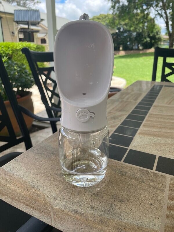 Water Bottle