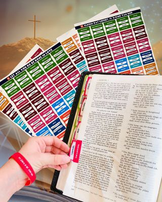 Bible Book Labels for Kids – Effortless Organization for Scripture Study ( Old and New Testament)