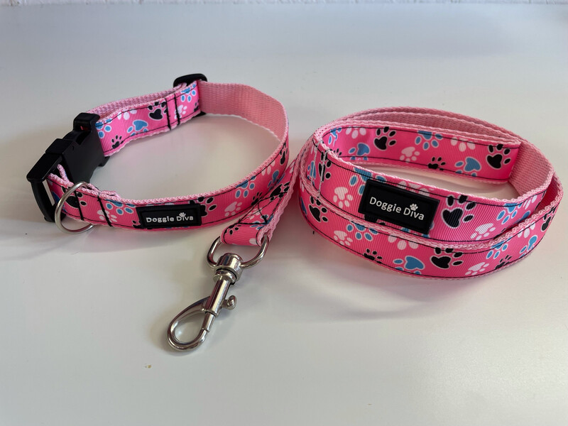 Dog Collar & Lead Set