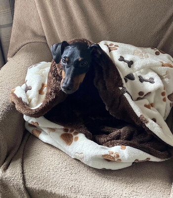 Snuggle Blankets