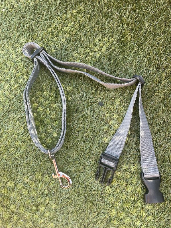 Dog Grooming Quick Release Noose / Restraint