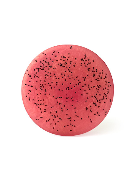 Rosewater Spa + Glycerin Bar