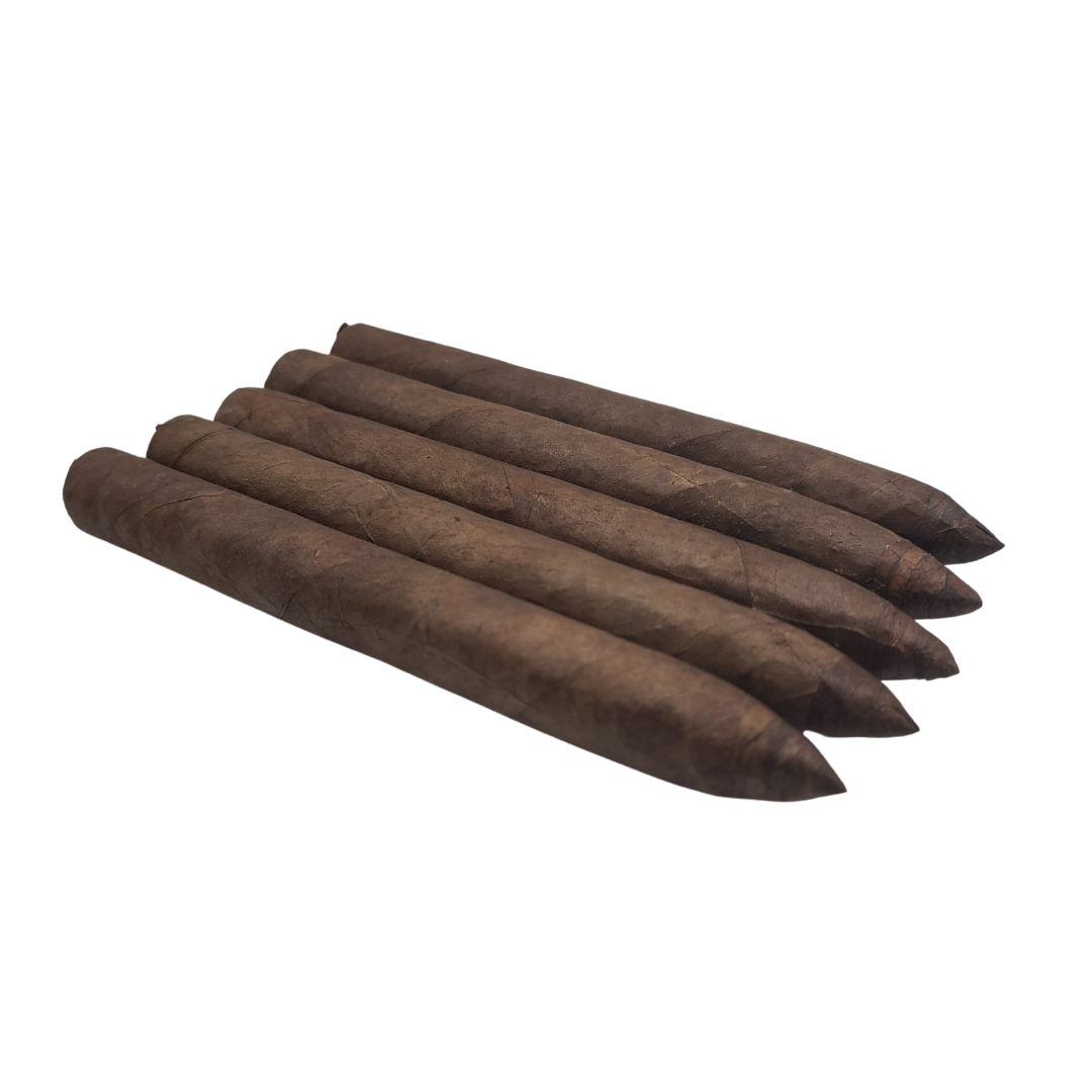 Torpedo Maduro Natural Cuban seed (5pack)