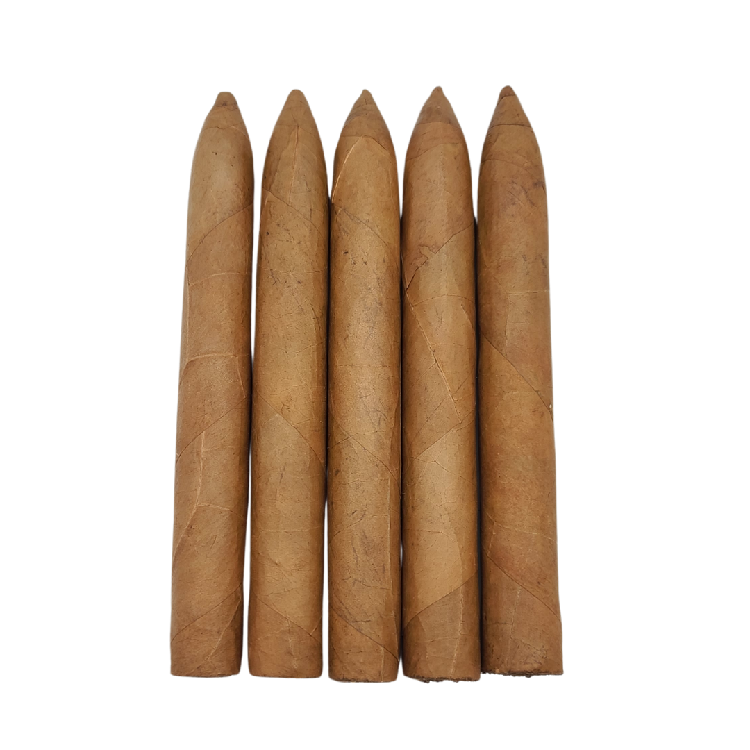 Torpedo Connecticut LF (5 pack)