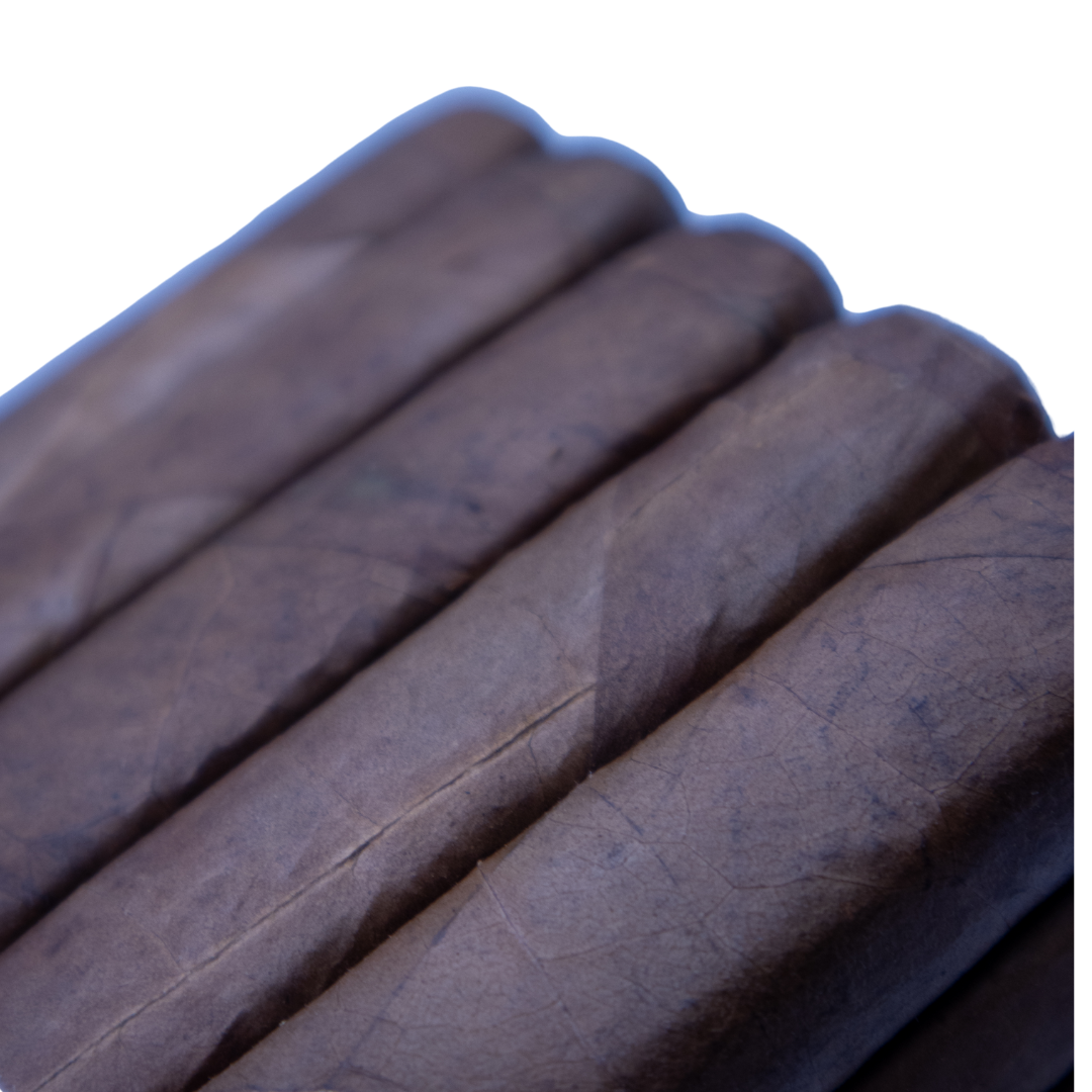 BOX PRESSED MADURO