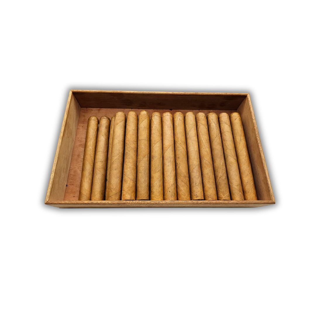 SP - DOUBLE TORO CONNECTICUT CS