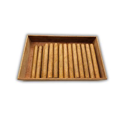 SP - DOUBLE TORO CONNECTICUT CS