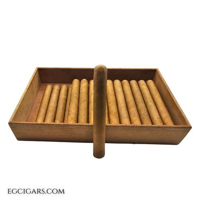 SP - Toro Connecticut JF5