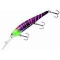 Bandit Deep BDTWBD2B82 Party Zebra