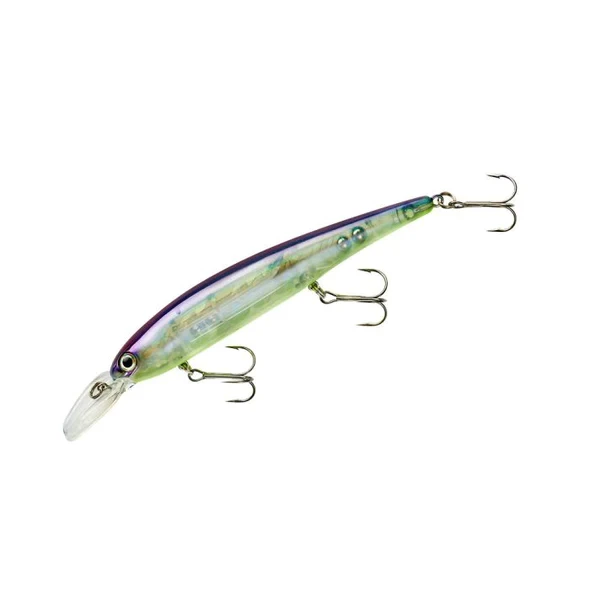 Bandit Shallow BDTWBS101 Blue Shiner