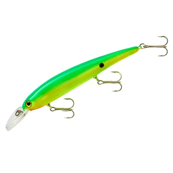Bandit Shallow BDTWBS1D02 Taco Salad