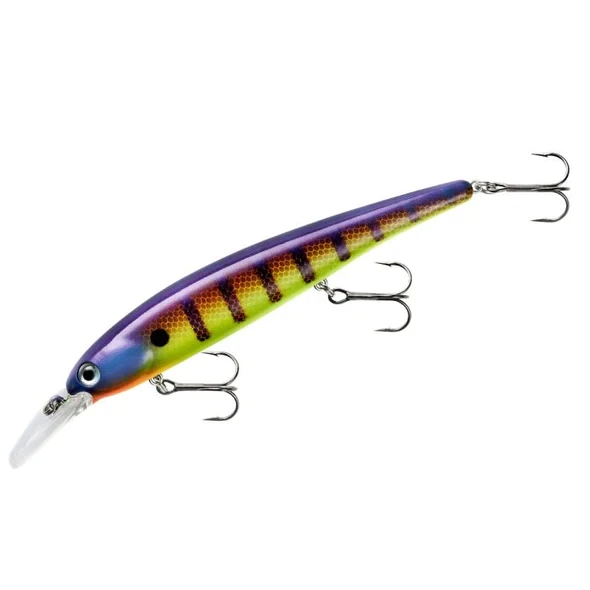 Bandit Shallow BDTWBS1D73 Viral Perch