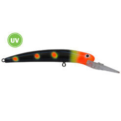 Bay Rat Short Deep 8-15&#39; Midnight Heatwave