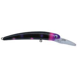 Bay Rat Short Deep 8-15&#39; Midnight Surprise