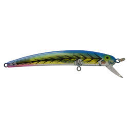 Bay Rat Long Shallow Blue Tiger