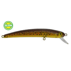 Bay Rat Long Shallow Brown Trout