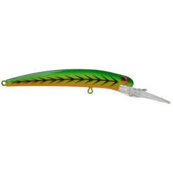 Bay Rat Long Shallow Firetiger