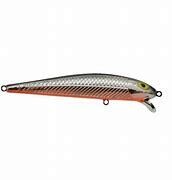 Bay Rat S3 Coho Crusher