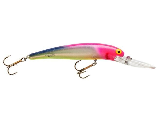 Bomber 25 Deep Long A Crazy Crush