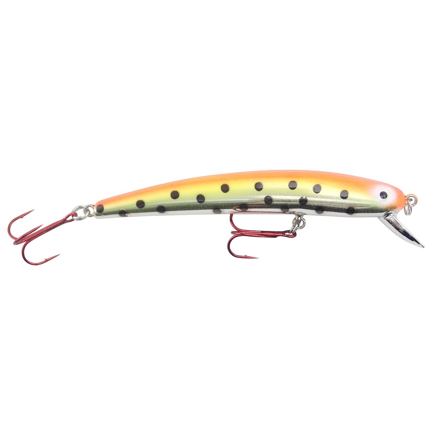 Bay Rat Long Shallow Chester