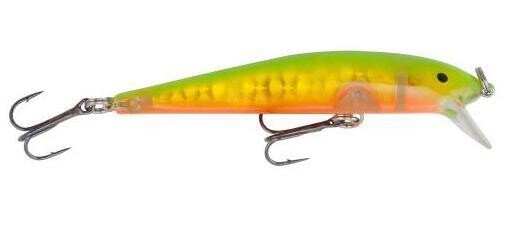 Bay Rat SS BT Candy