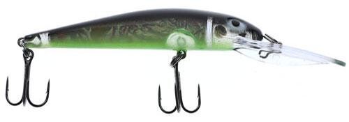 Bay Rat SD Esmerelda