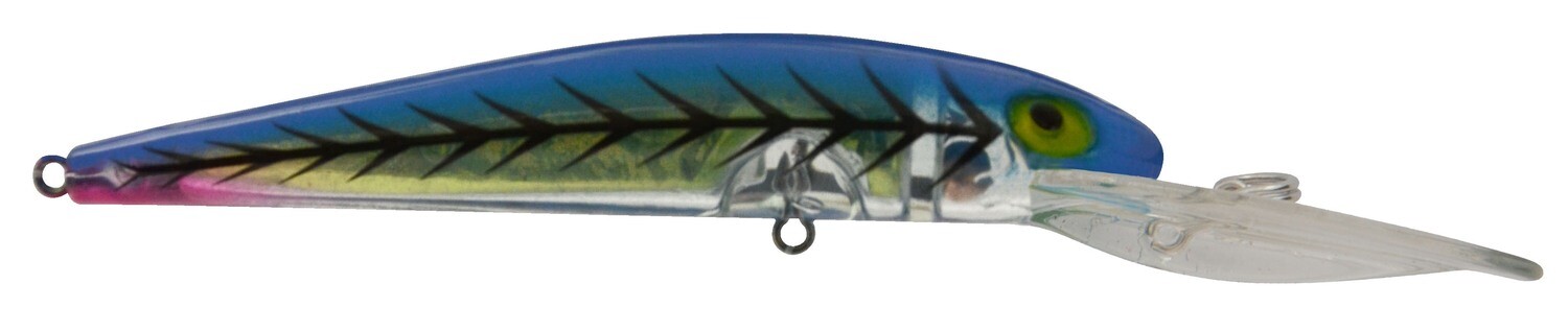 Bay Rat SD Blue Tiger