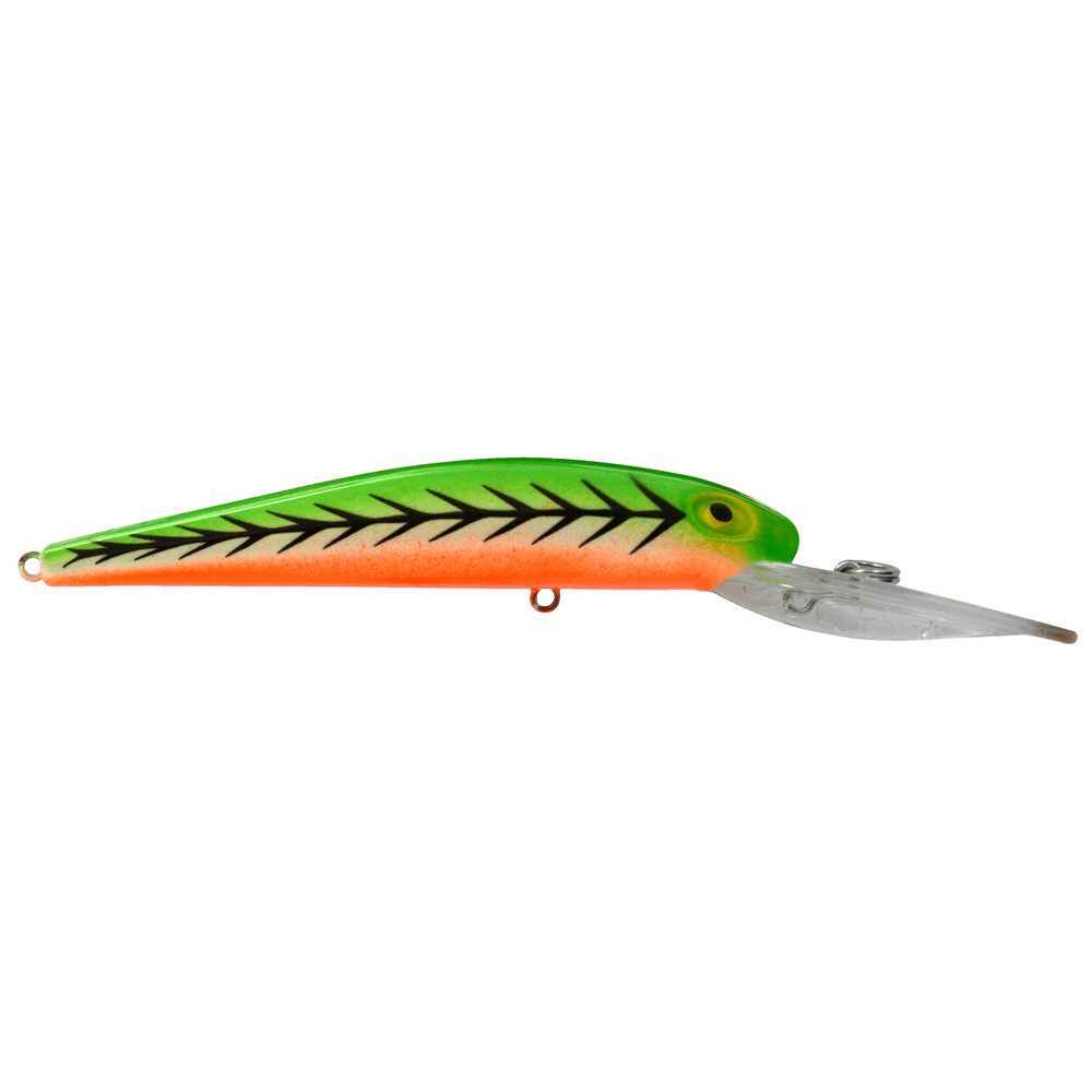 Bay Rat SD Loud Tiger