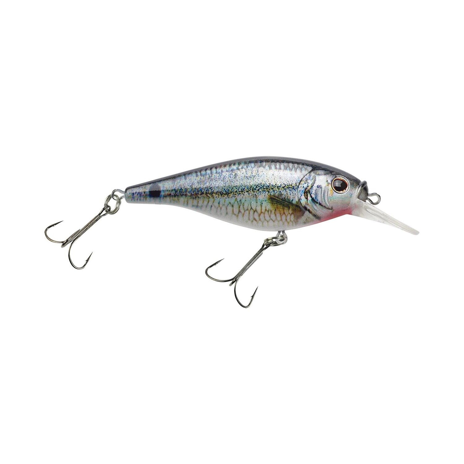 Flicker 5M HD Spottail Shiner